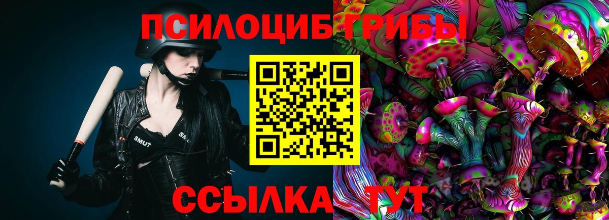 Богородск  Псилоцибиновые грибы прущие грибы  Вход с VPN  Галлюциногенные грибы MAGIC MUSHROOMS 